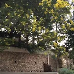 Вилла Daurus