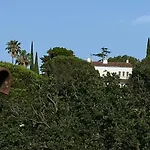Daurus *