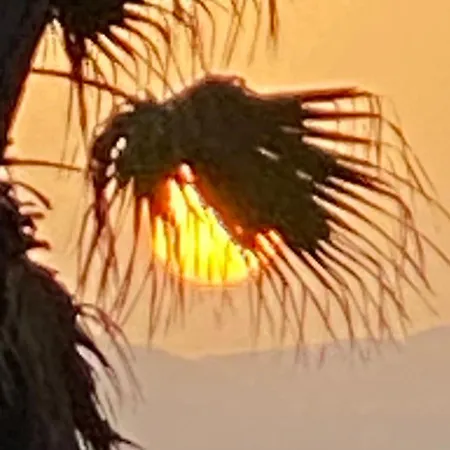 Villa Daurus Vallauris