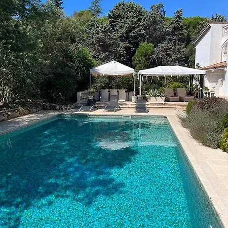 Willa Daurus