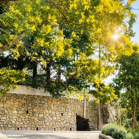 Daurus Villa Vallauris